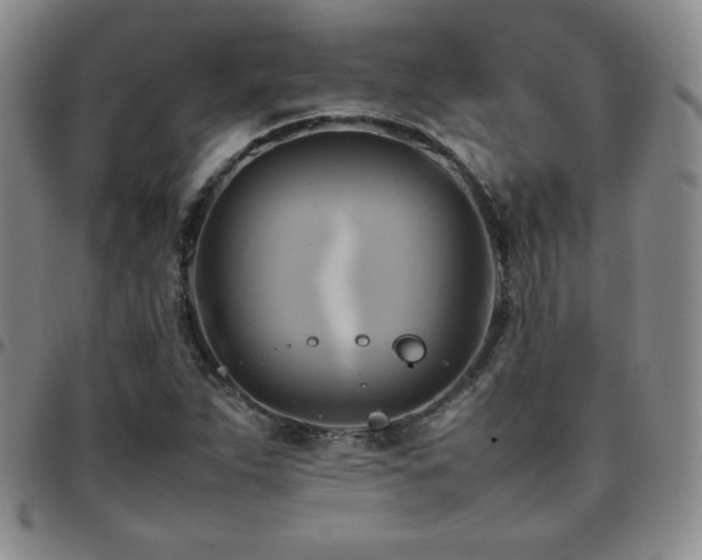 X0000097861263200803141231