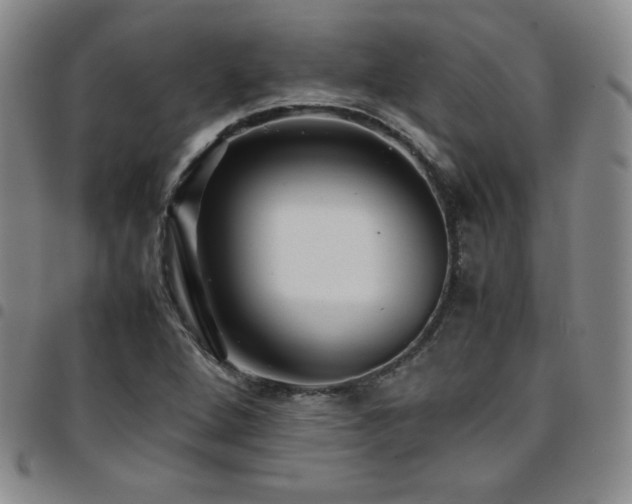 X0000097861264200803141231