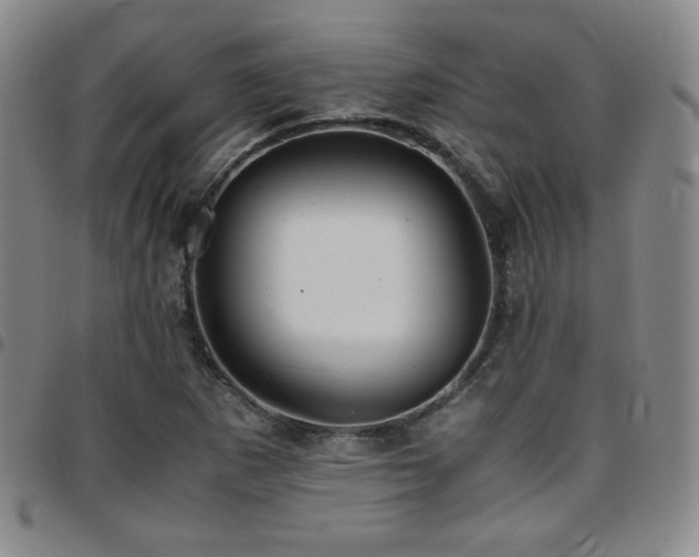 X0000097861265200803141231