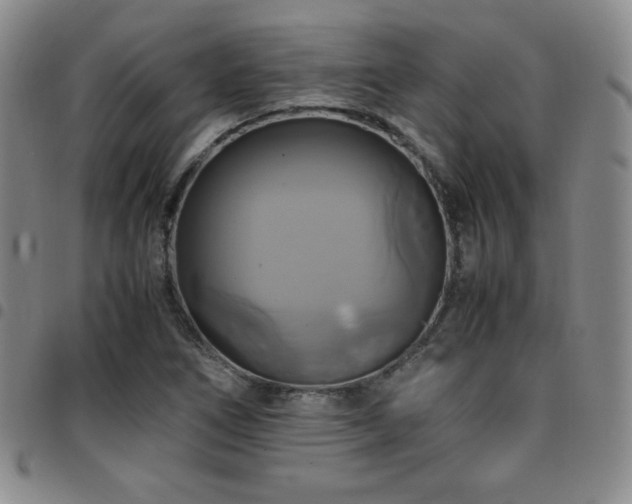 X0000097861266200803141231