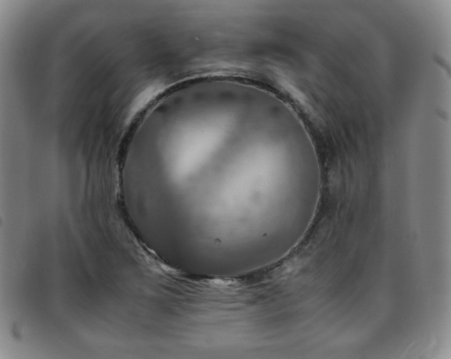X0000097861267200803141231