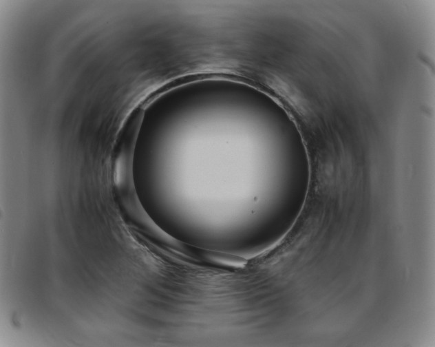 X0000097861268200803141231