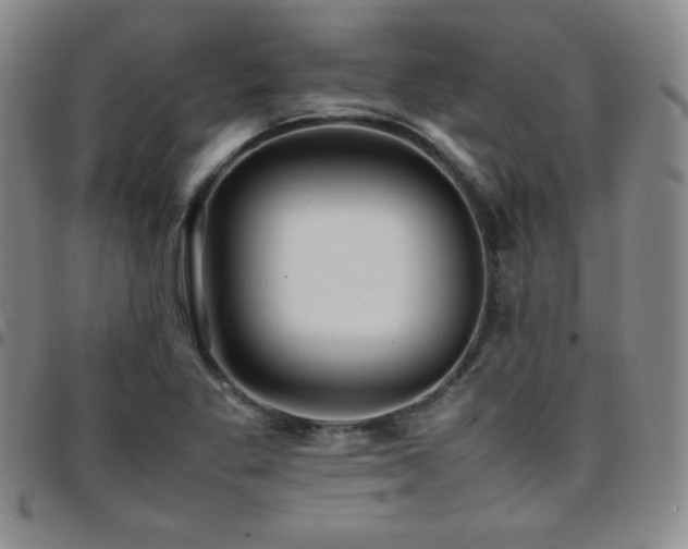 X0000097861269200803141231