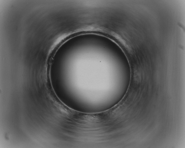 X0000097861270200803141231