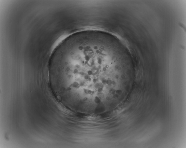 X0000097861271200803141231