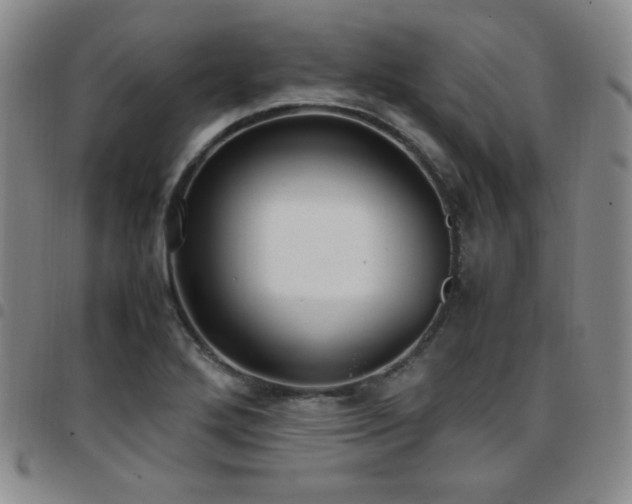 X0000097861272200803141231