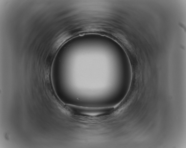 X0000097861273200803141230