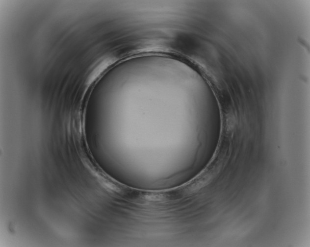X0000097861274200803141230