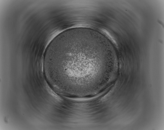 X0000097861276200803141230