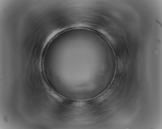 X0000097861278200803141230