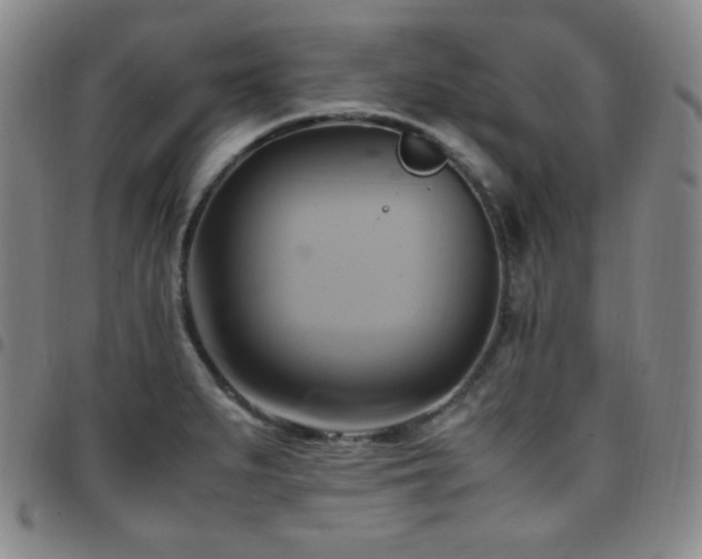 X0000097861279200803141230
