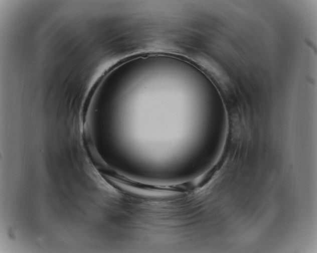 X0000097861280200803141230