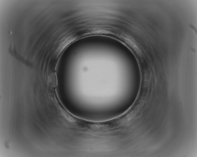 X0000097861281200803141230