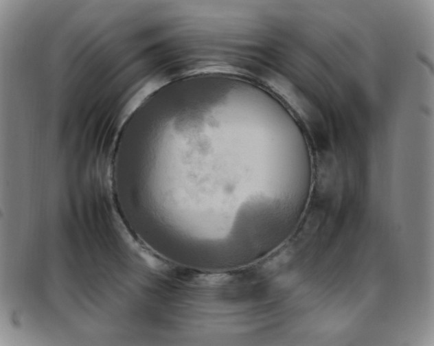 X0000097861282200803141230
