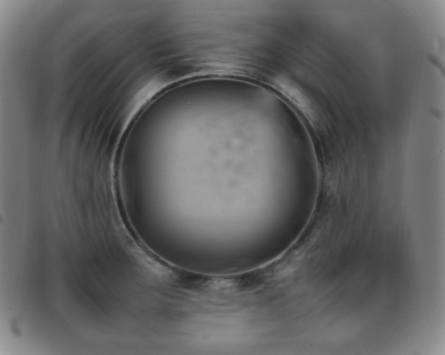 X0000097861283200803141230