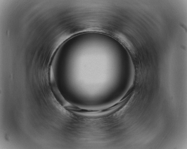 X0000097861284200803141230