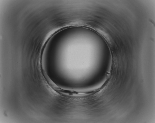 X0000097861288200803141230
