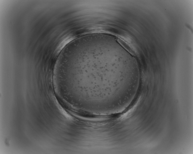 X0000097861289200803141230