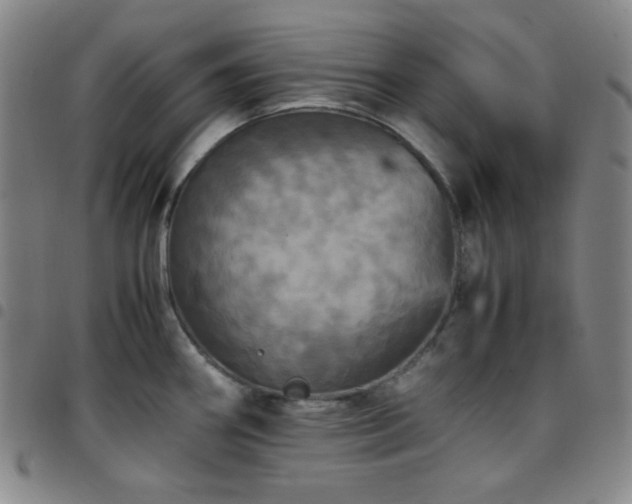 X0000097861290200803141230
