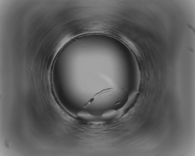 X0000097861291200803141230