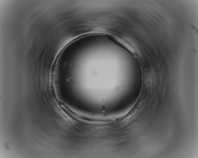X0000097861292200803141230
