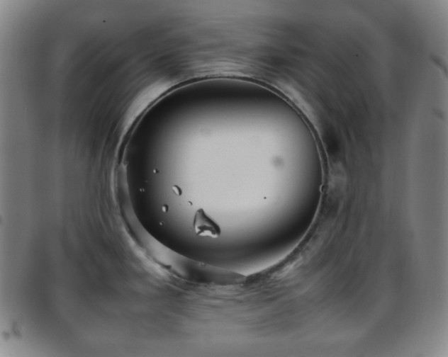X0000097861293200803141230