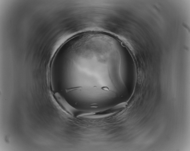 X0000097861295200803141230
