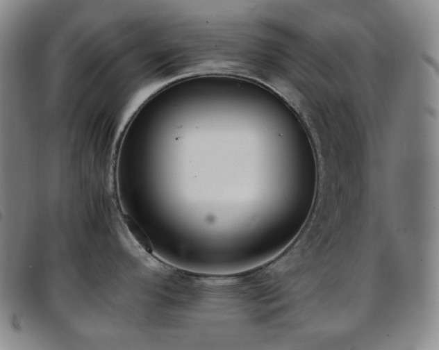 X0000097861296200803141230