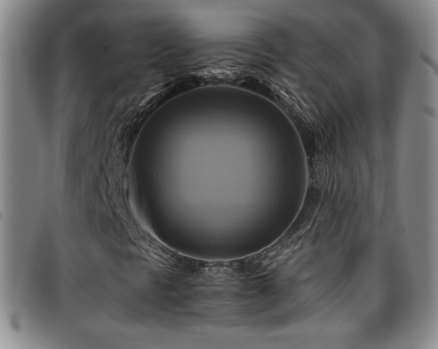 X0000097861297200803141230