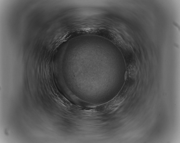 X0000097861298200803141230