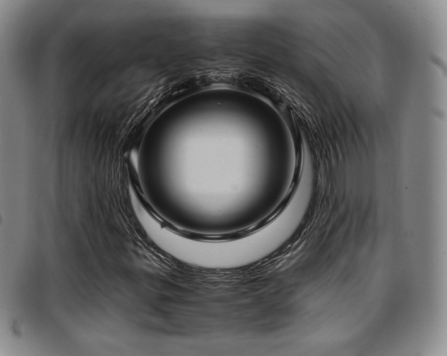X0000097861299200803141230