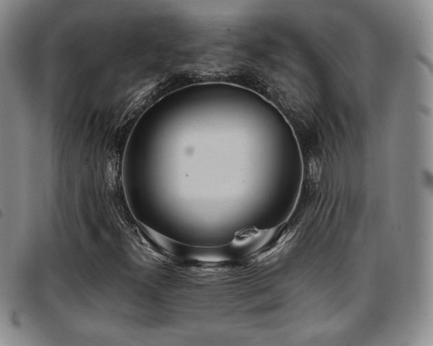 X0000097861300200803141230
