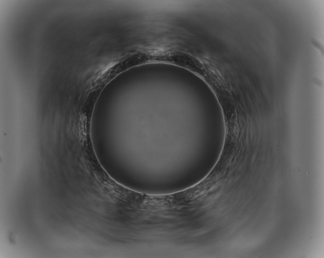 X0000097861301200803141230
