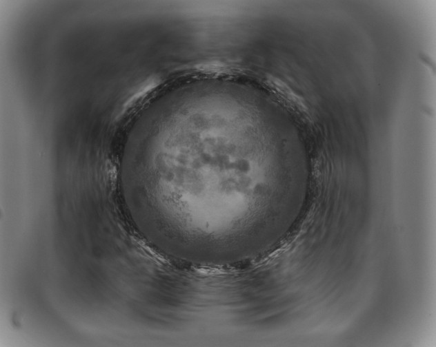 X0000097861302200803141230
