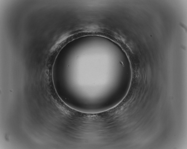 X0000097861304200803141230