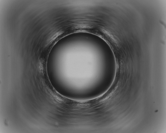 X0000097861305200803141230