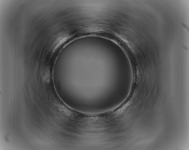 X0000097861306200803141230