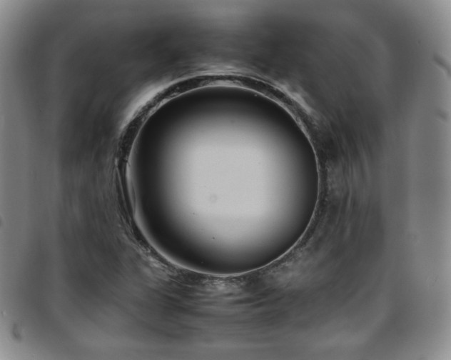 X0000097861311200803141230