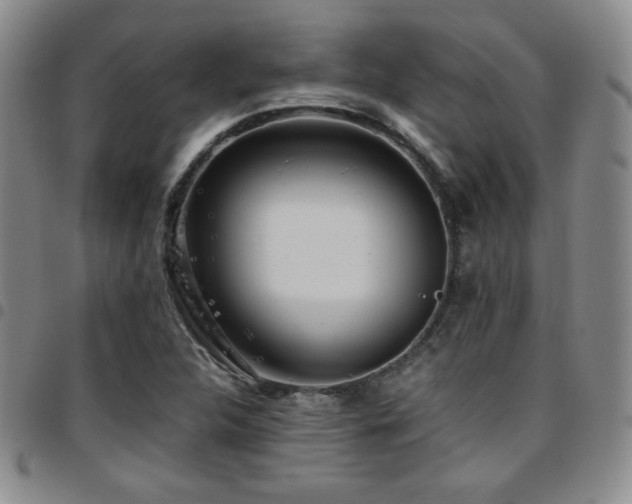 X0000097861312200803141230