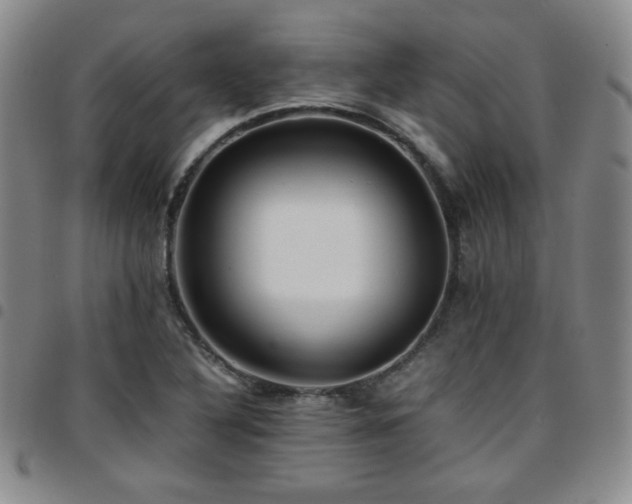 X0000097861316200803141230