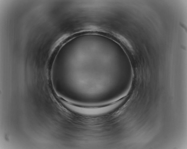 X0000097861318200803141230