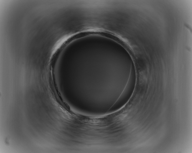 X0000097861319200803141230