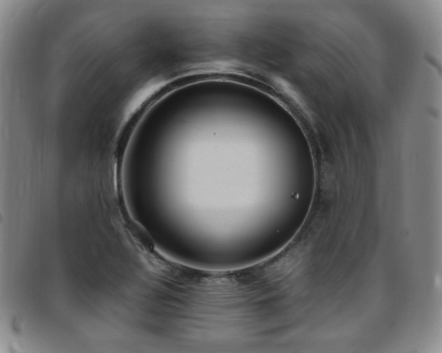 X0000097861320200803141230