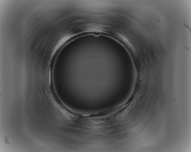 X0000097861323200803141230