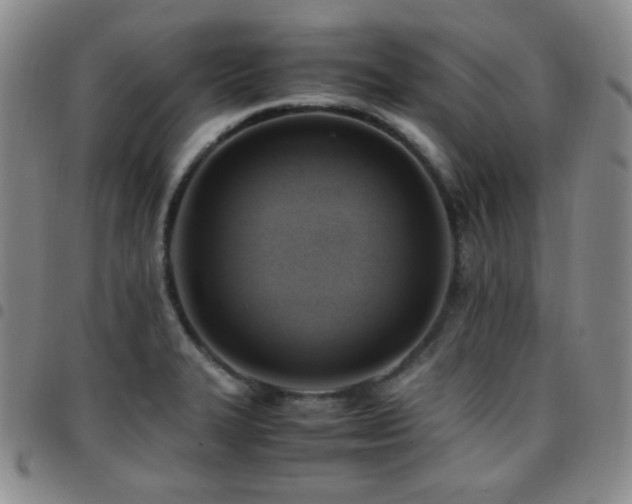 X0000097861327200803141230