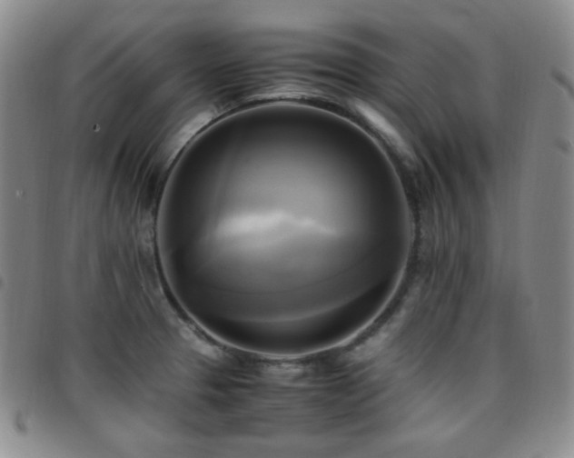 X0000097861329200803141230