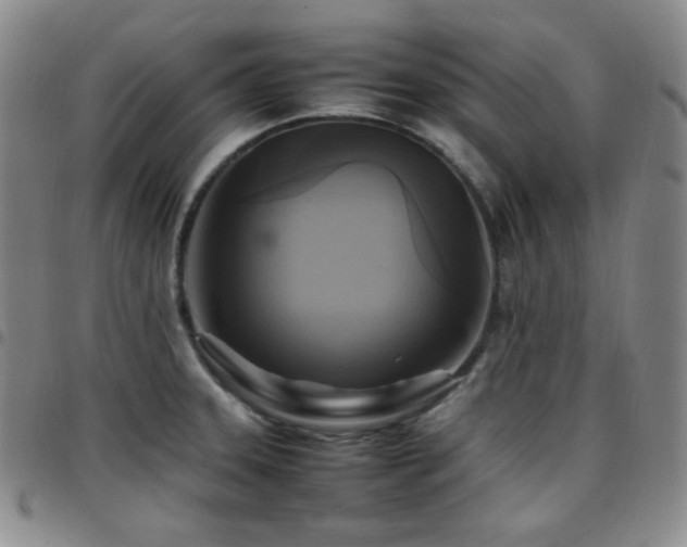 X0000097861331200803141230