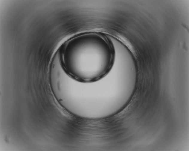 X0000097861332200803141230