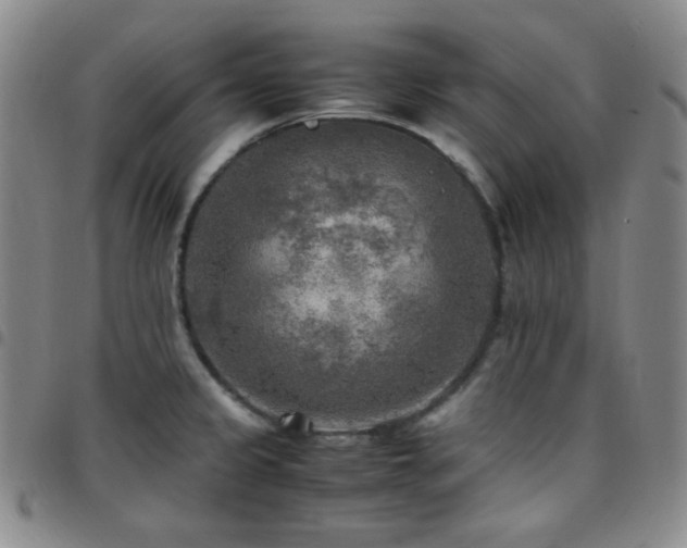 X0000097861333200803141230