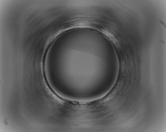 X0000097861334200803141230